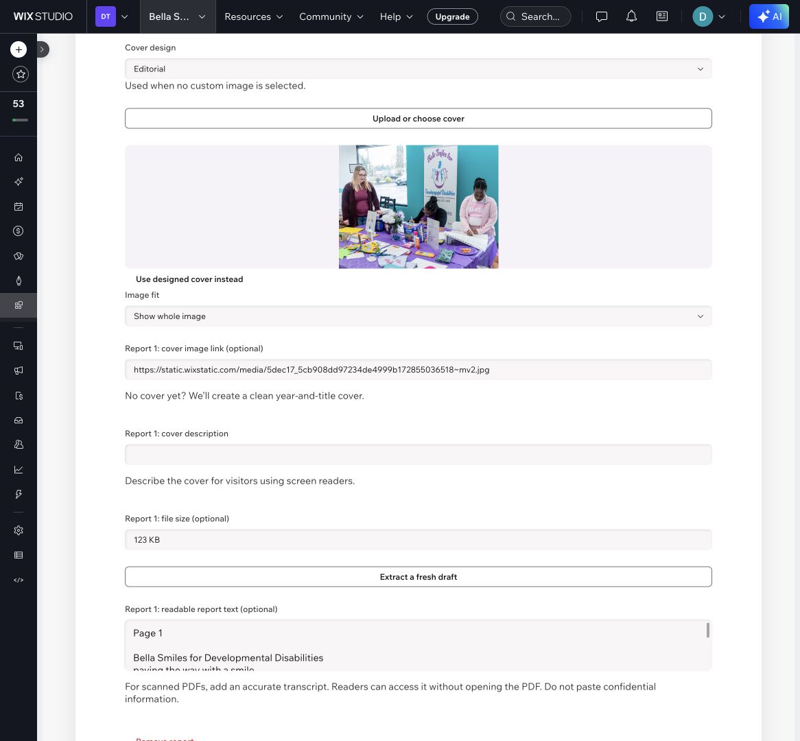 Report editor with document and cover controls